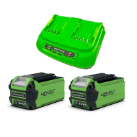 Аккумулятор с USB разъемом Greenworks G40USB2 40V (2 А/ч) + Быстрое зарядное устройство на 2 слота Greenworks G40UC8 40V (4 A)
